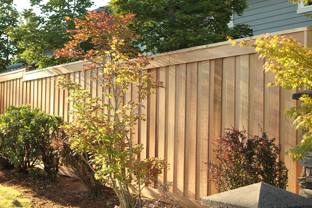fence